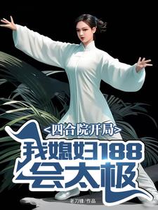 四合院开局:我媳妇188会太极